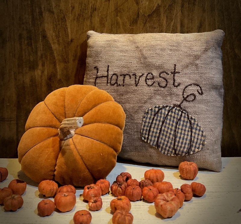 Harvest Pillow and Velvet Pumpkin